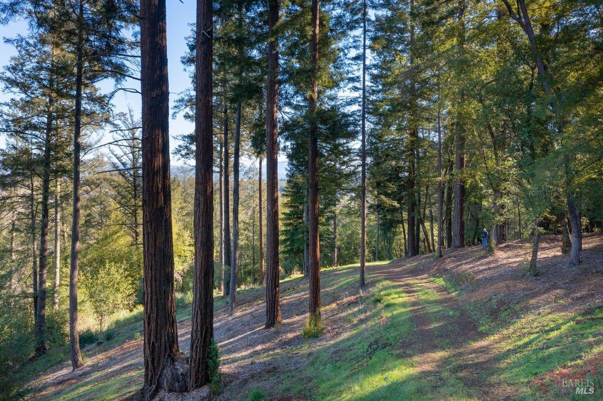 3210 W Dry Creek Road