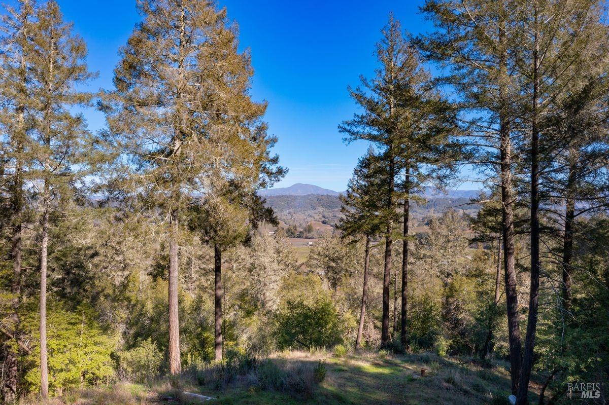 3210 W Dry Creek Road