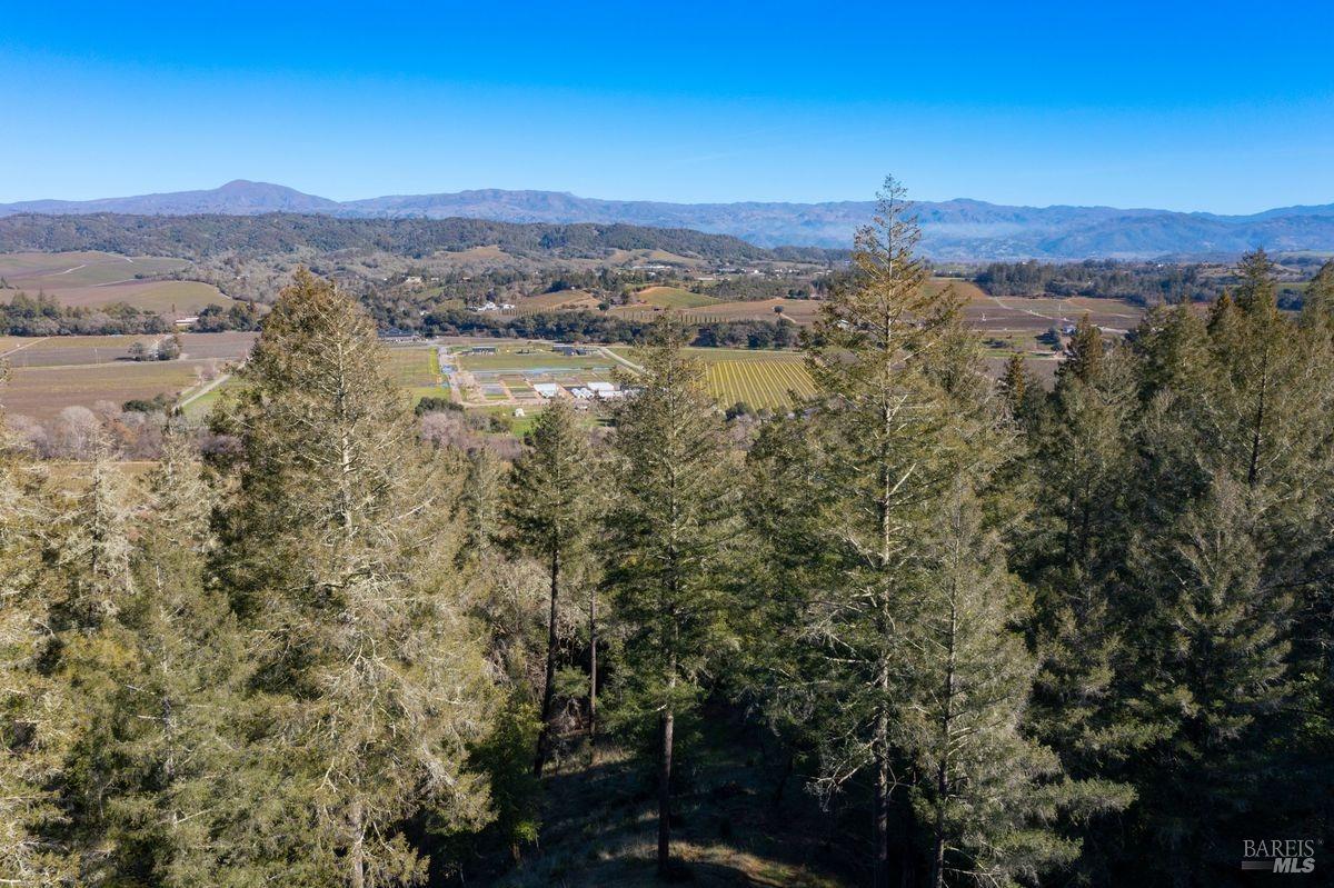 3210 W Dry Creek Road