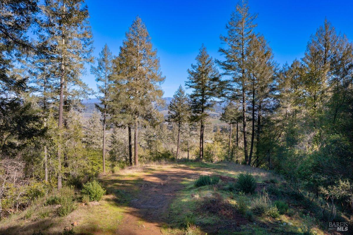 3210 W Dry Creek Road