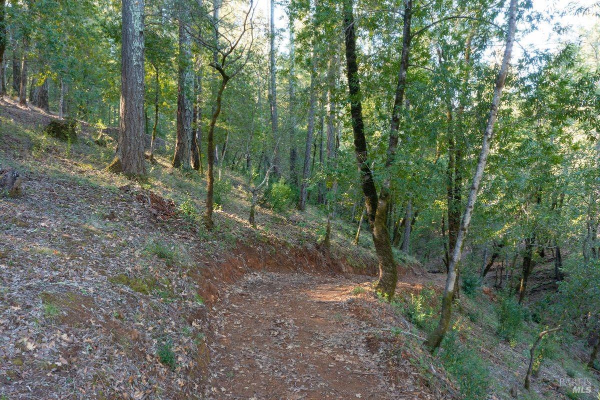 3210 W Dry Creek Road