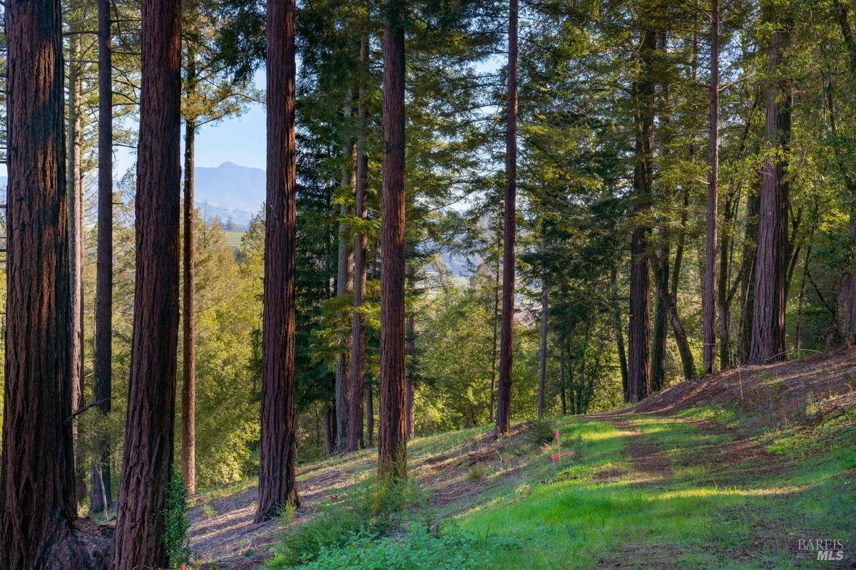 3210 W Dry Creek Road