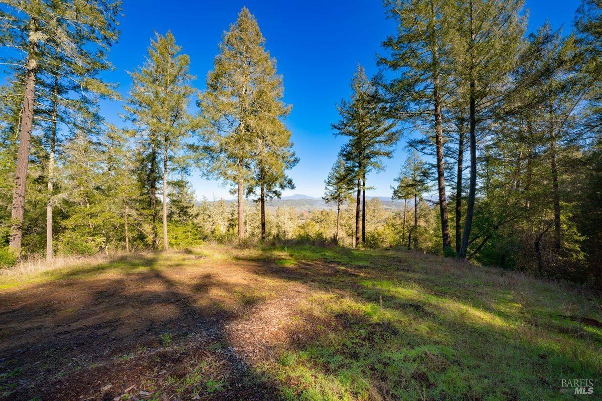 3210 W Dry Creek Road