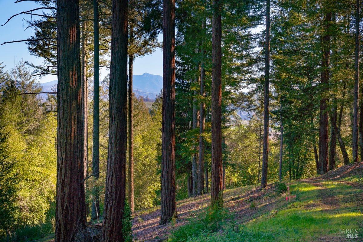 3210 W Dry Creek Road