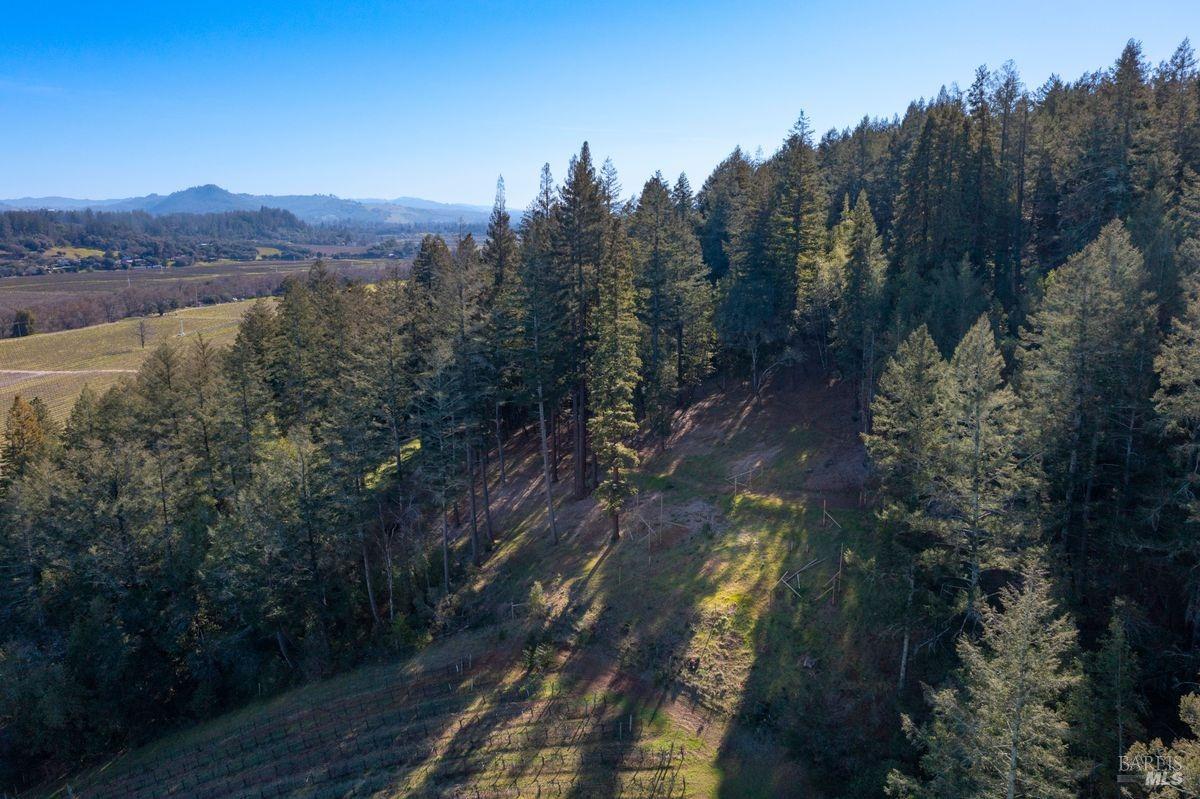 3210 W Dry Creek Road