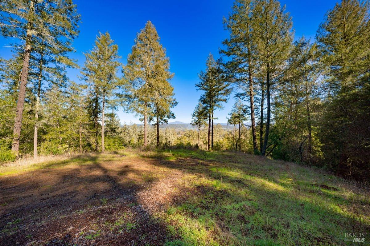 3210 W Dry Creek Road