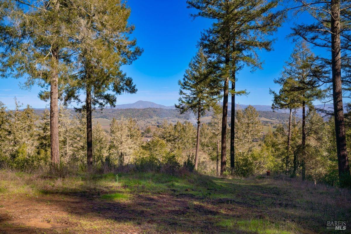 3210 W Dry Creek Road