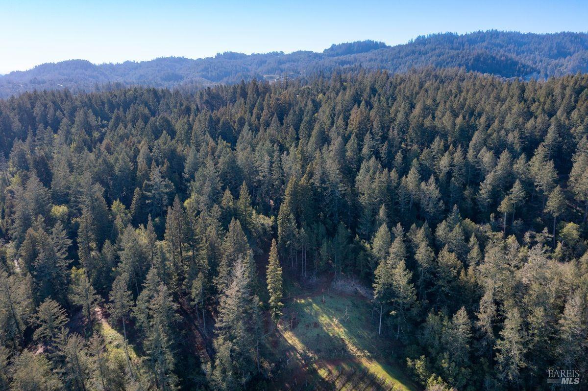 3210 W Dry Creek Road