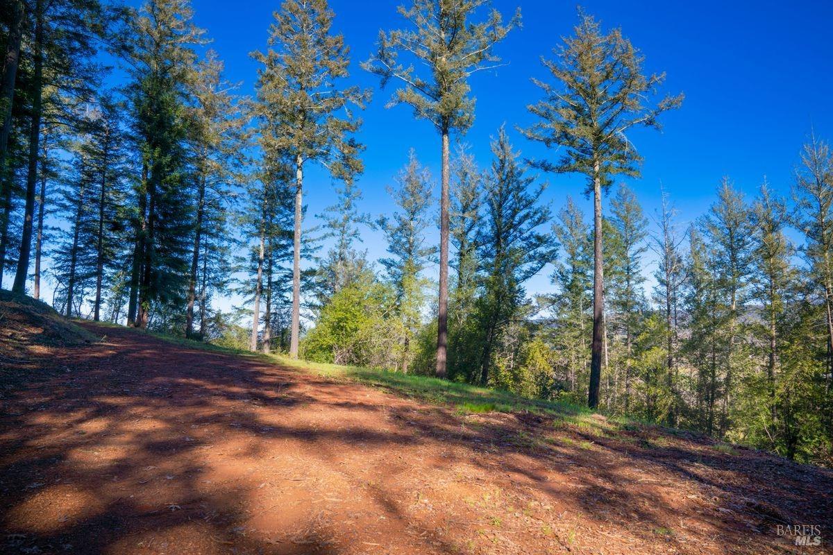 3210 W Dry Creek Road