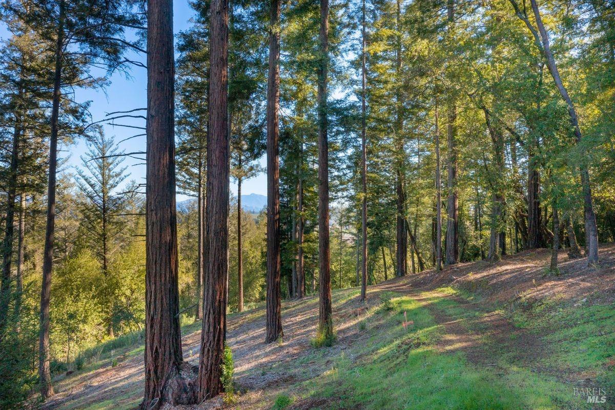 3210 W Dry Creek Road