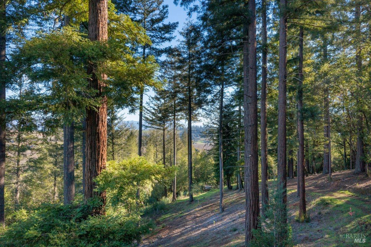 3210 W Dry Creek Road