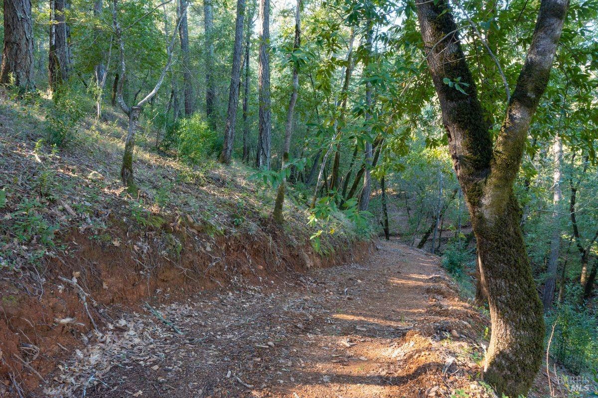 3210 W Dry Creek Road