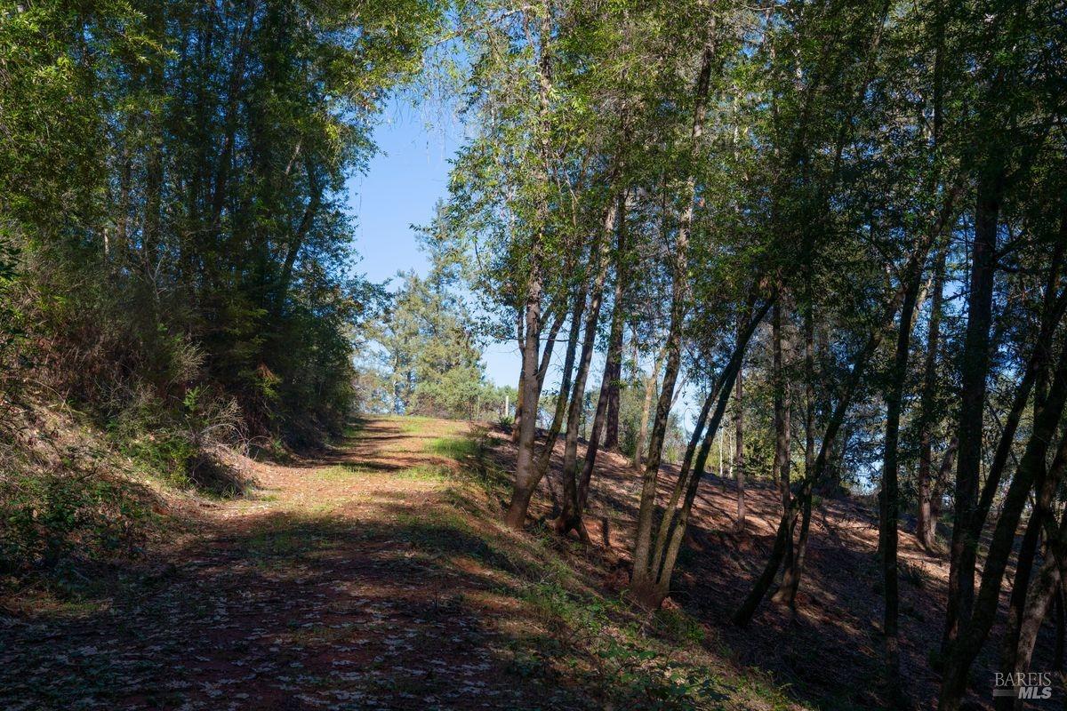 3210 W Dry Creek Road
