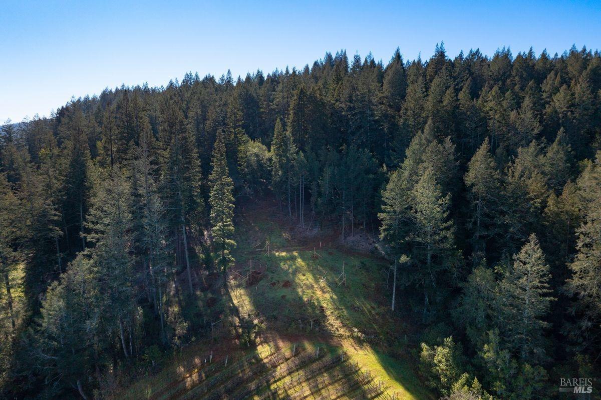 3210 W Dry Creek Road