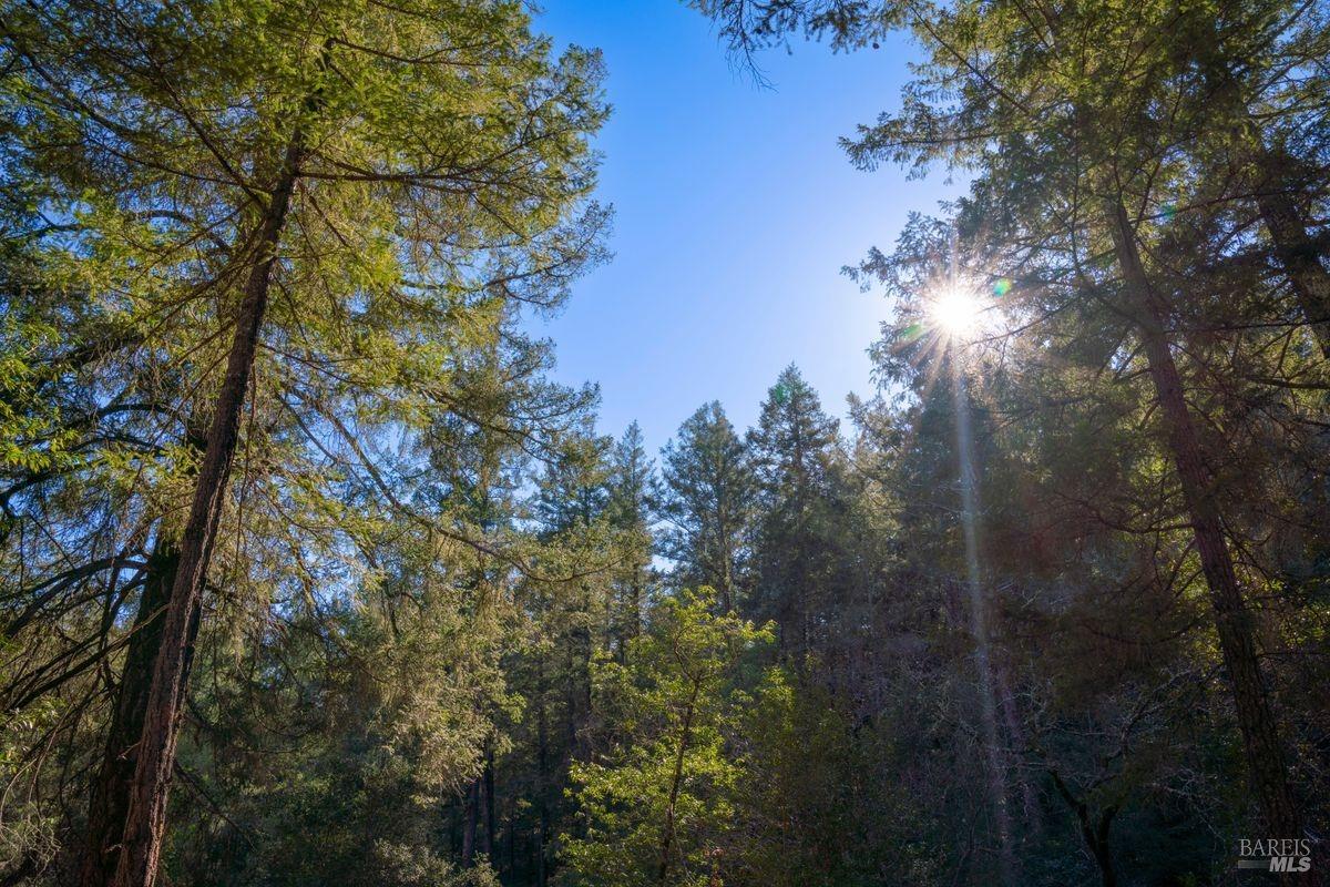 3210 W Dry Creek Road