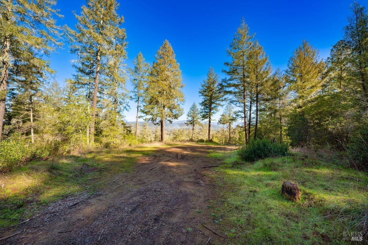 3210 W Dry Creek Road