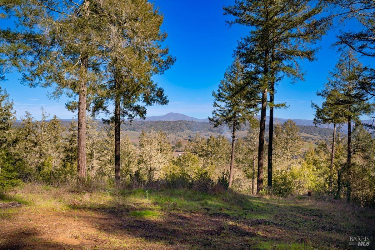 3210 W Dry Creek Road