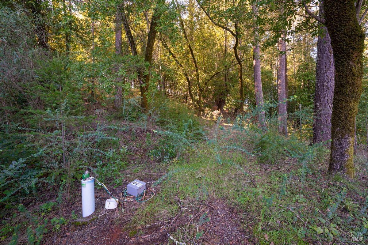 3210 W Dry Creek Road