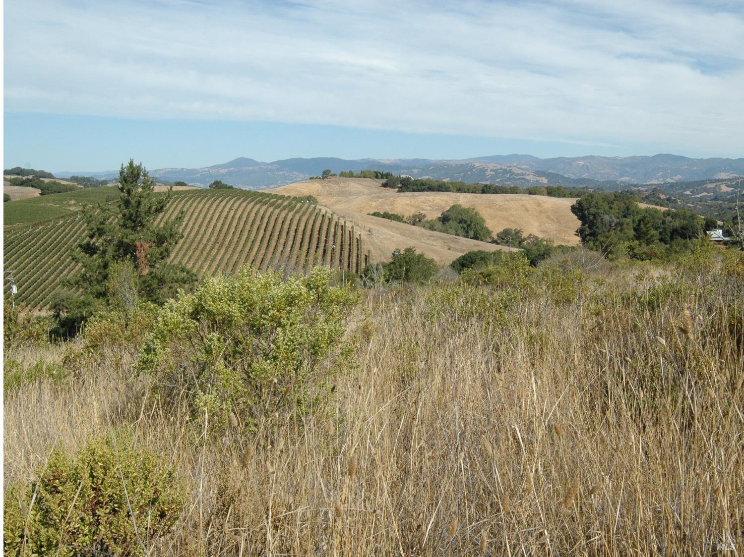 11005 Chalk Hill Road