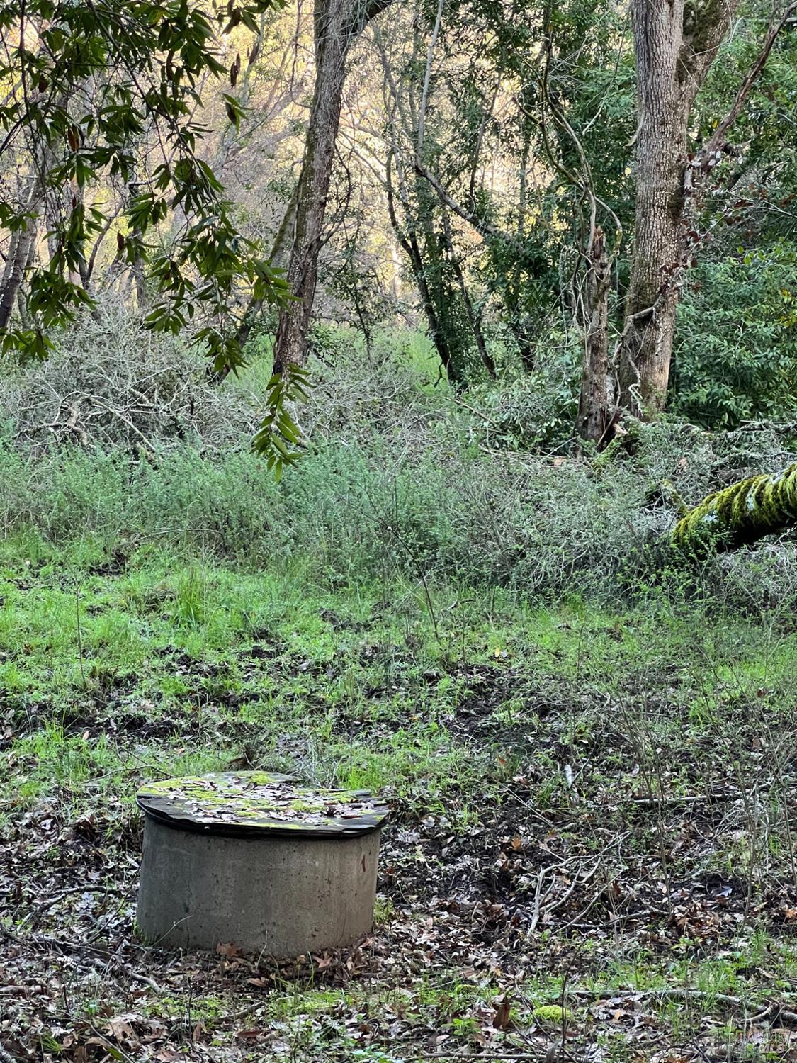 11005 Chalk Hill Road