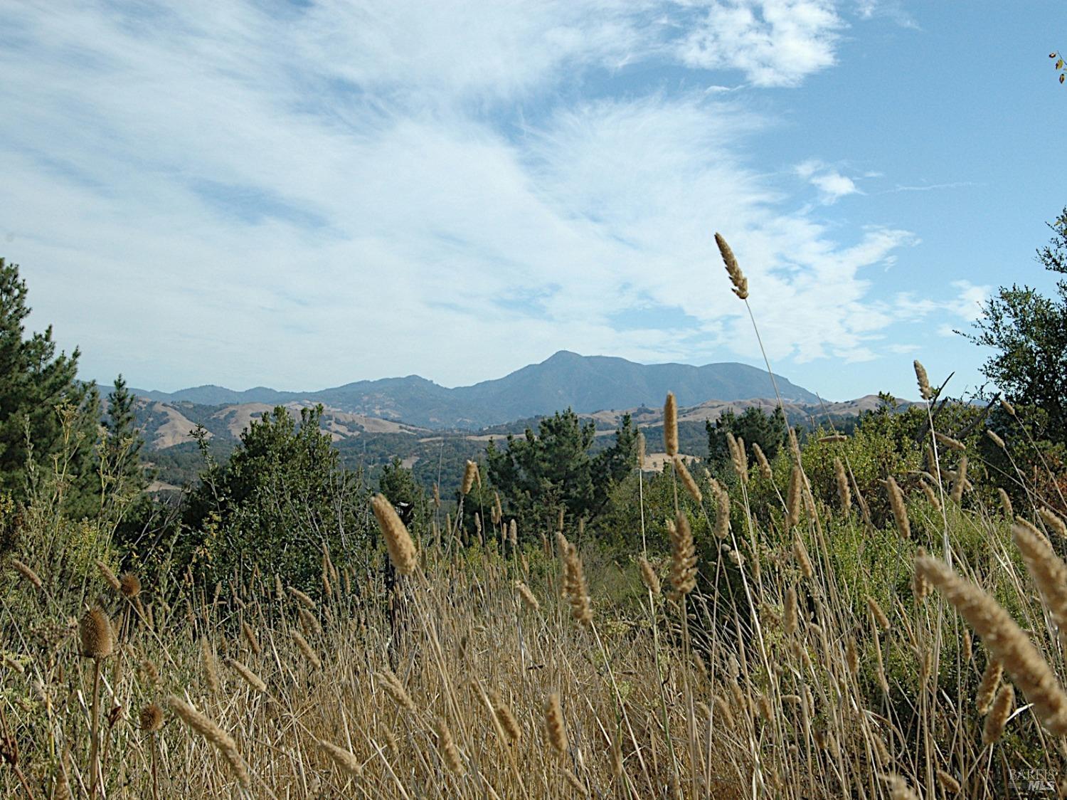 11005 Chalk Hill Road