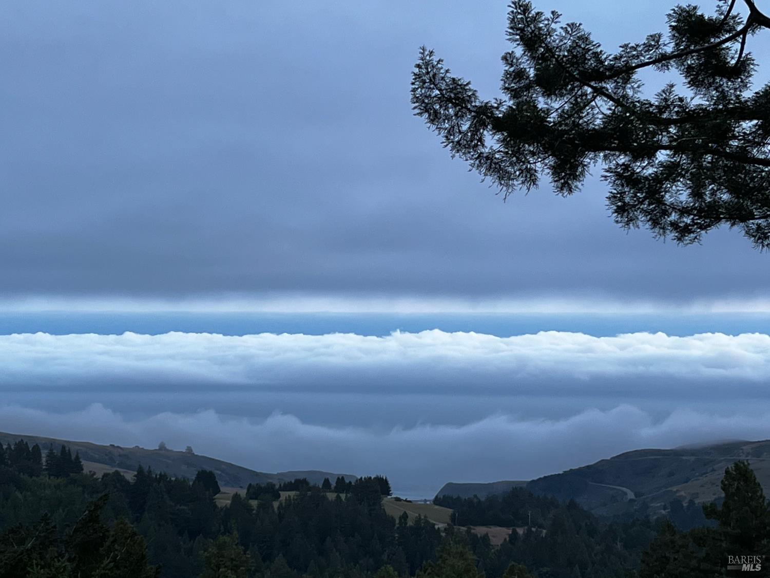 3100 Muniz Ranch Road