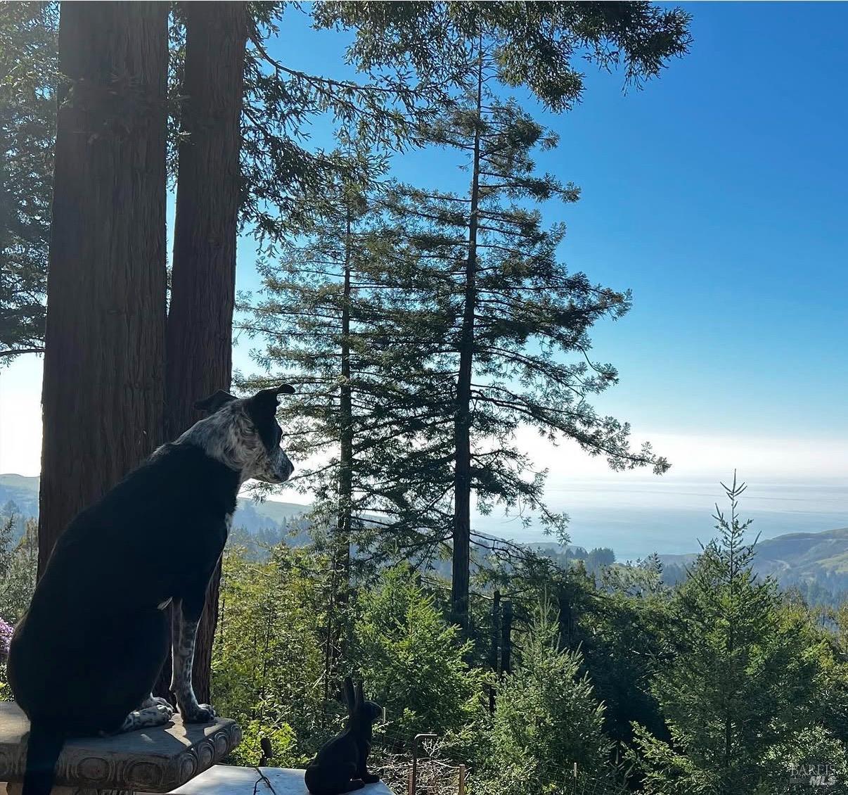 3100 Muniz Ranch Road