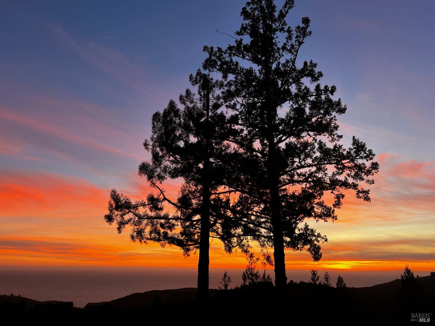 3100 Muniz Ranch Road