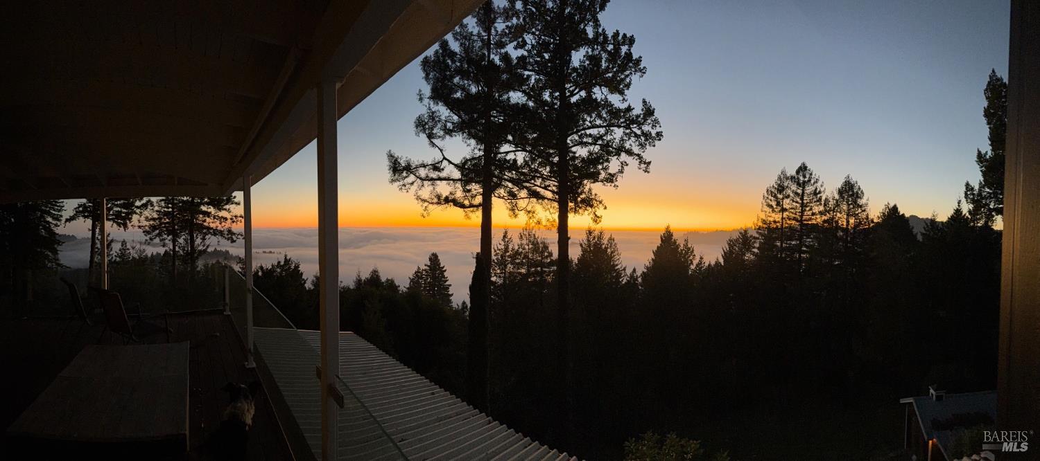 3100 Muniz Ranch Road