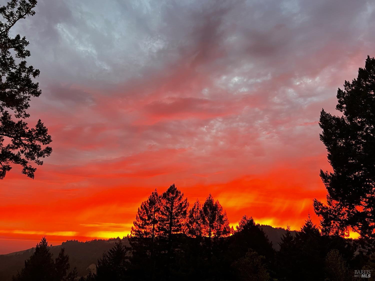 3100 Muniz Ranch Road