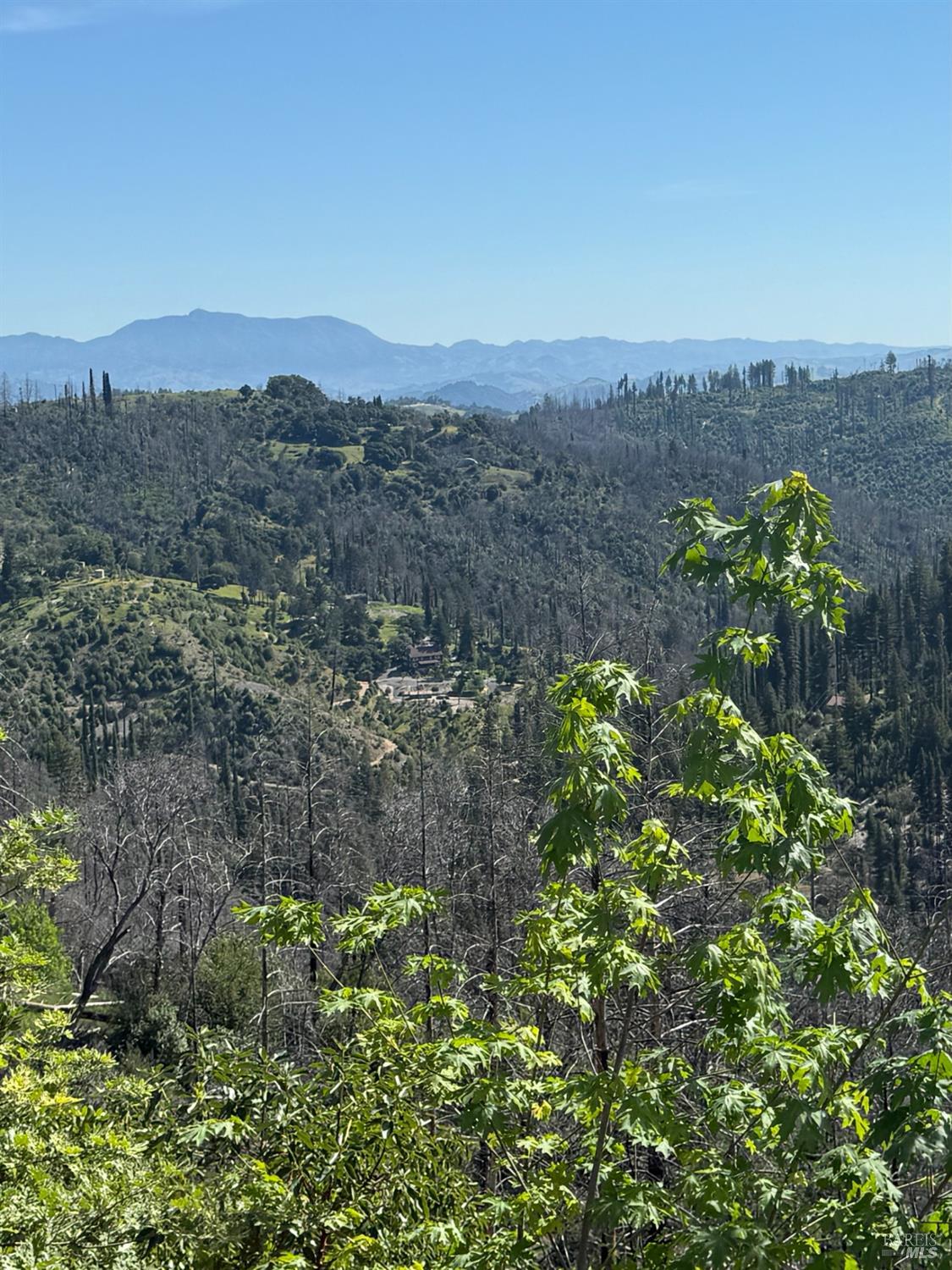8707 Mill Creek Road