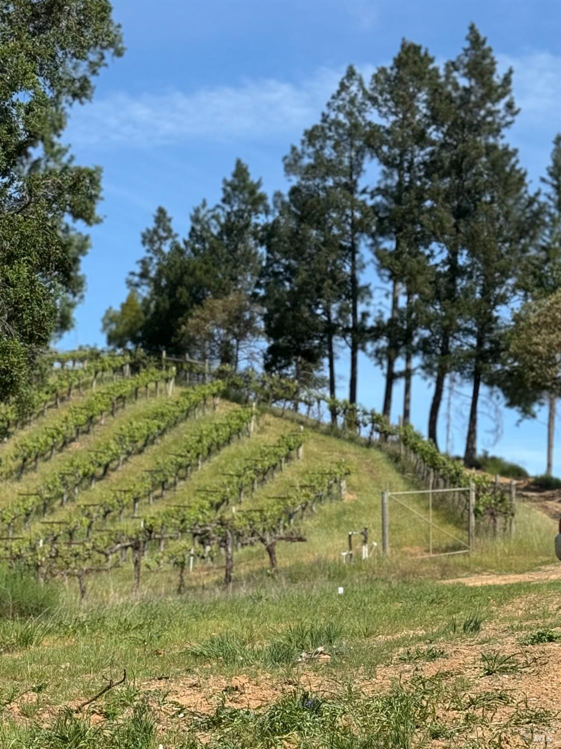 8707 Mill Creek Road