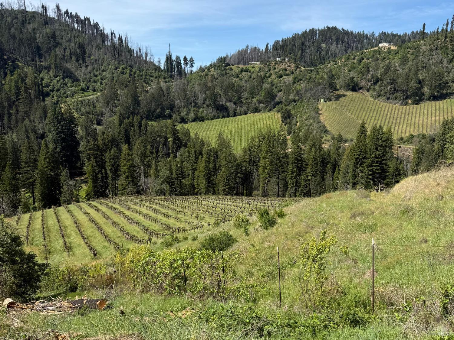 8707 Mill Creek Road