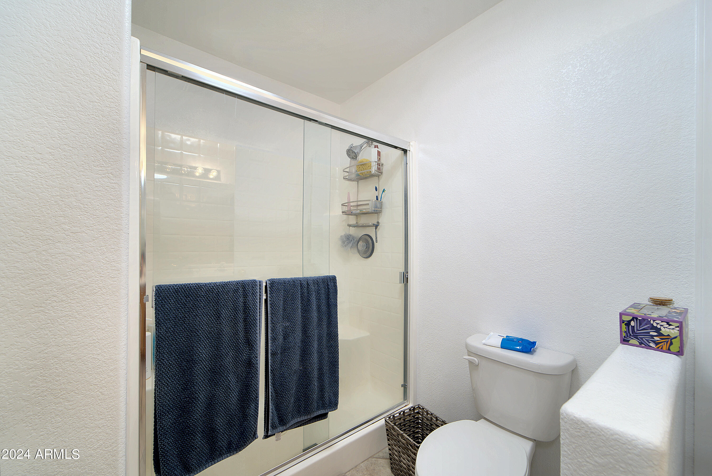 11302 W Loma Blanca Drive