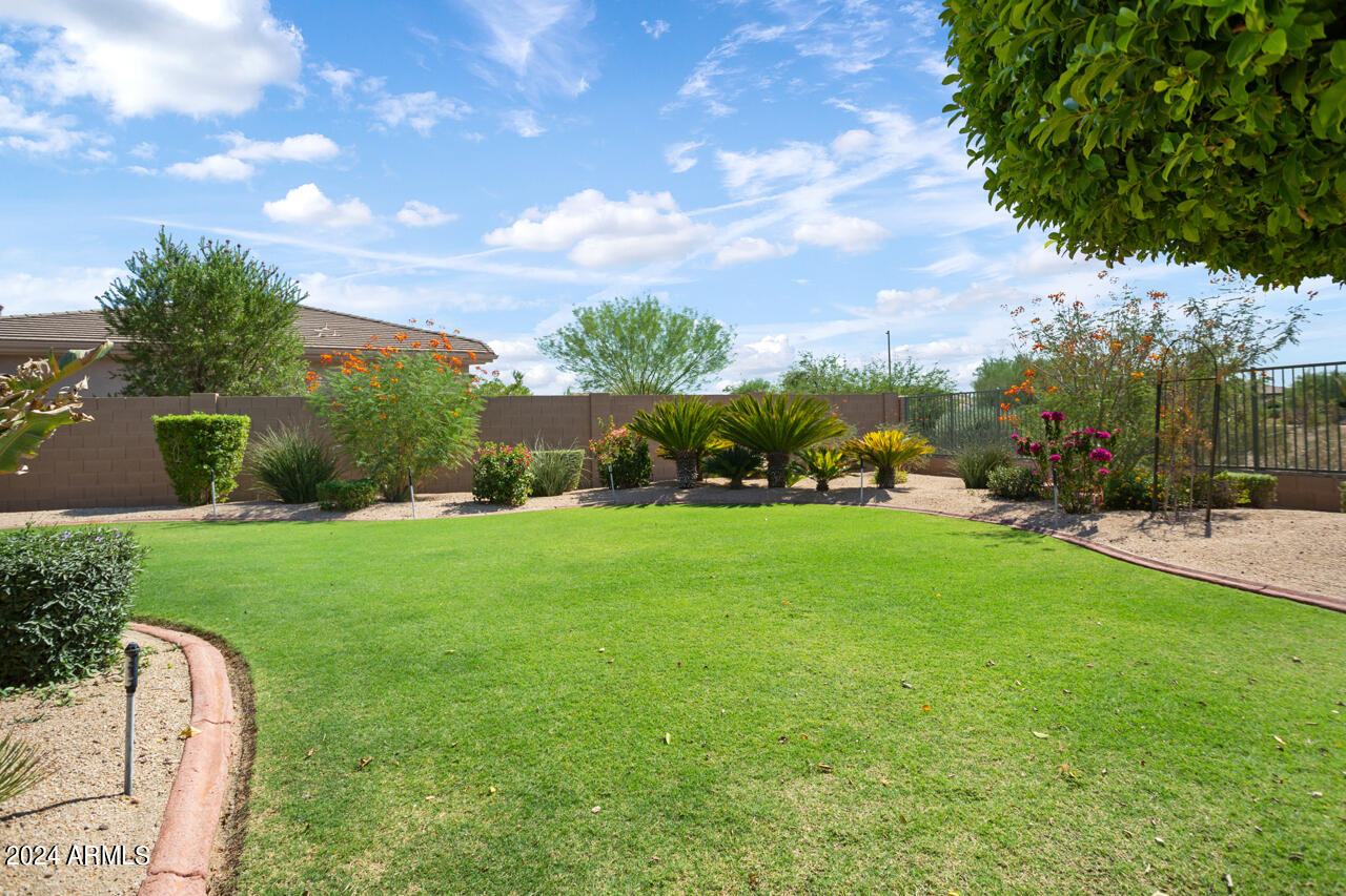 25628 N MOON BLOSSUM Lane