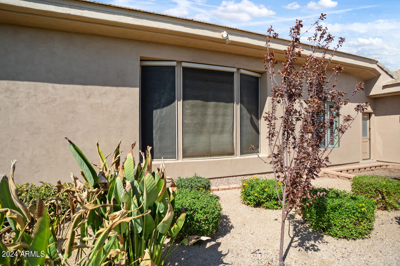 25628 N MOON BLOSSUM Lane