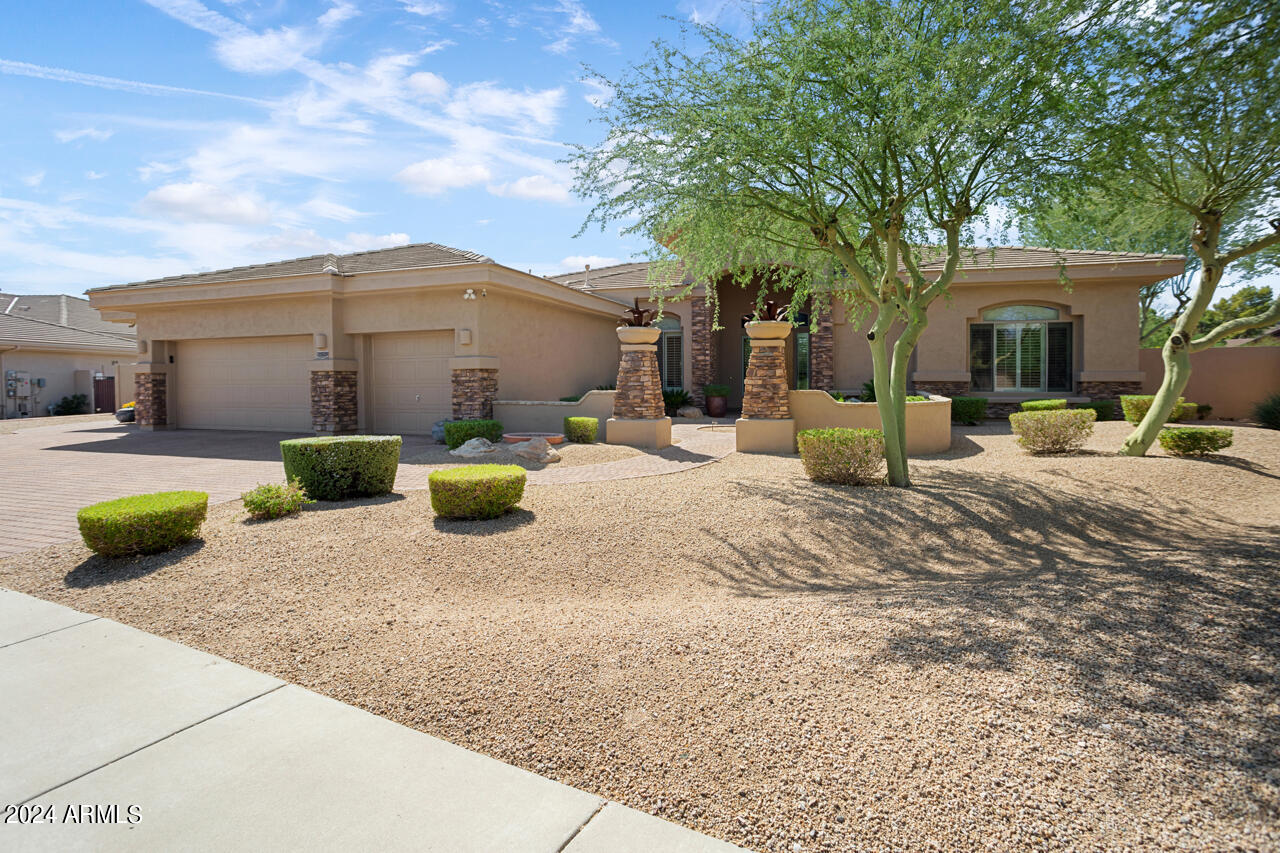 25628 N MOON BLOSSUM Lane