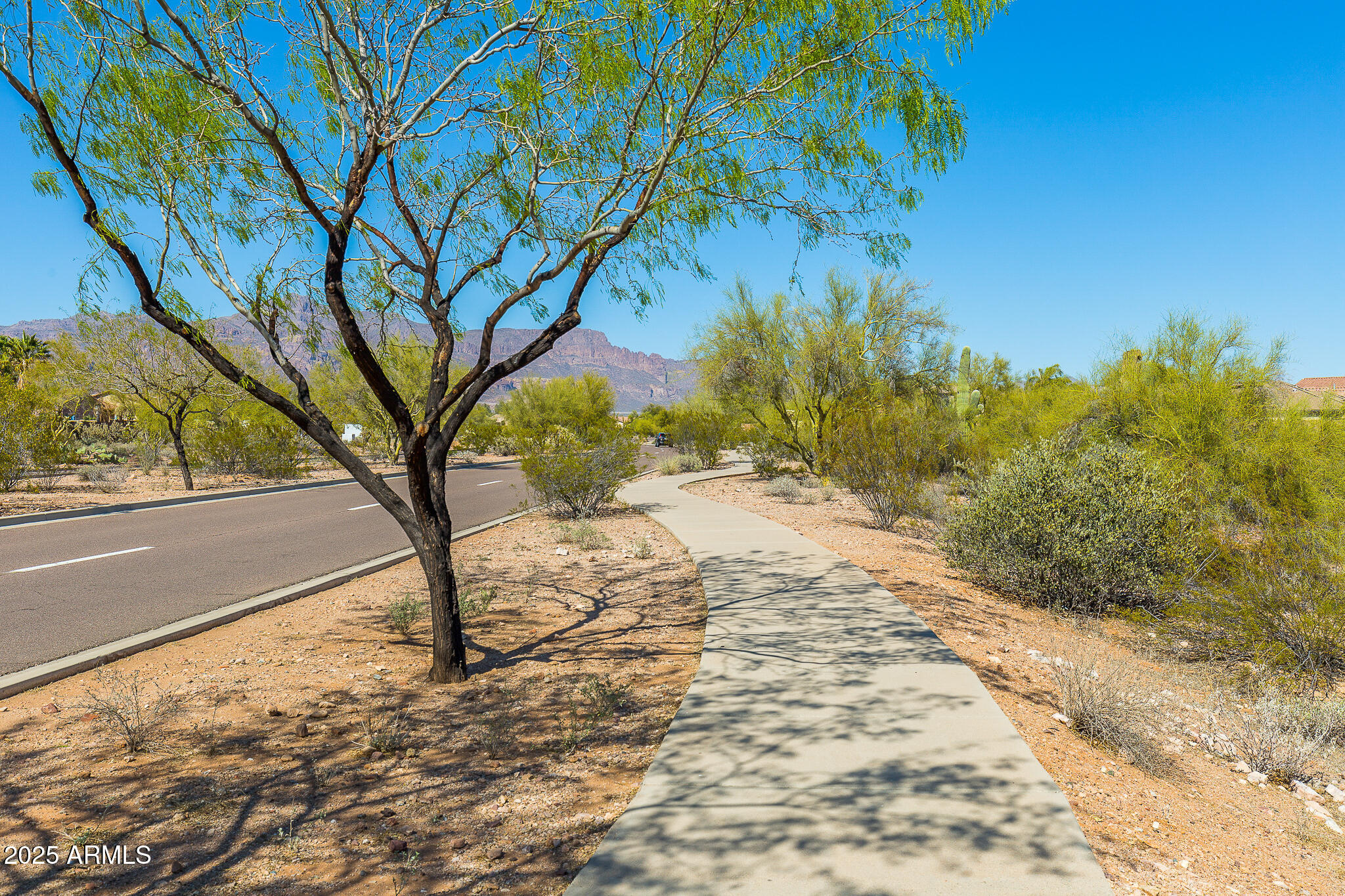 9900 E DESERT TRAIL Lane