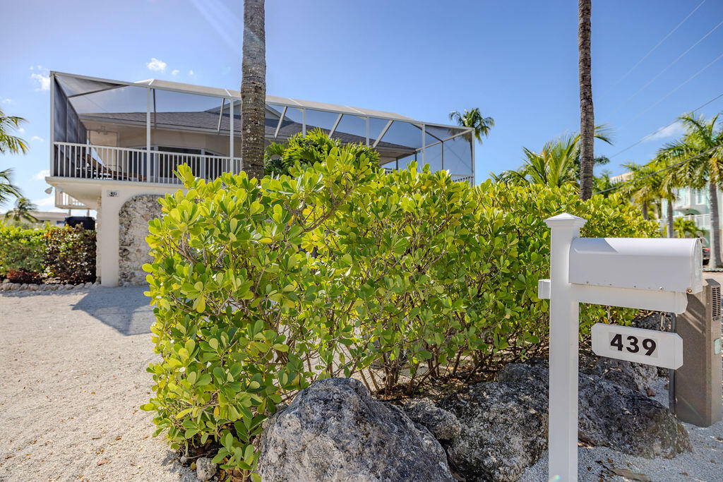 439 Palm Drive Drive