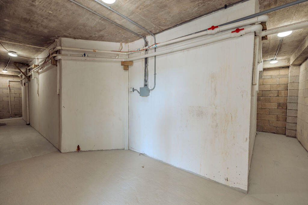 439 Palm Drive Drive