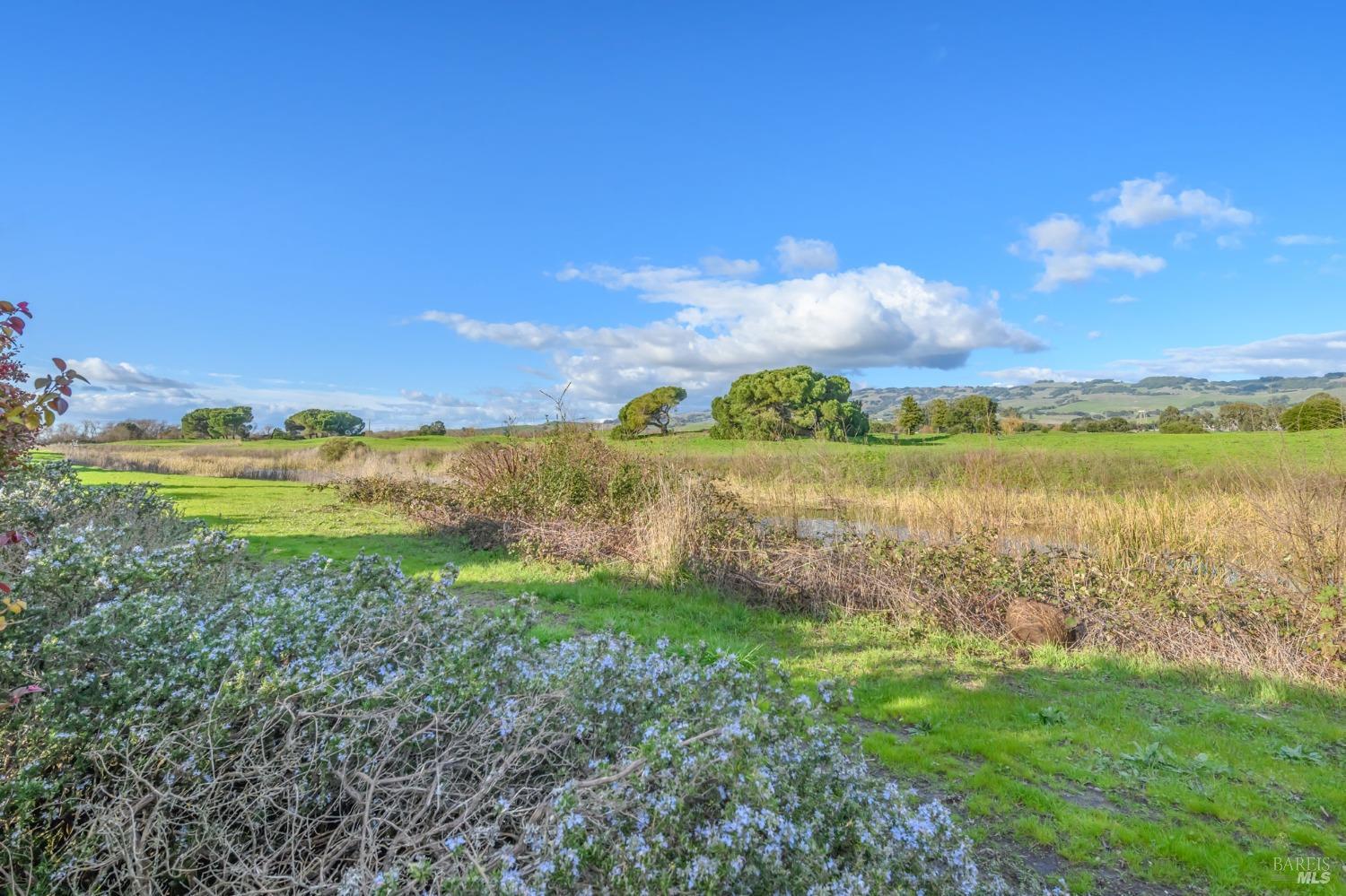 1908 Falcon Ridge Drive