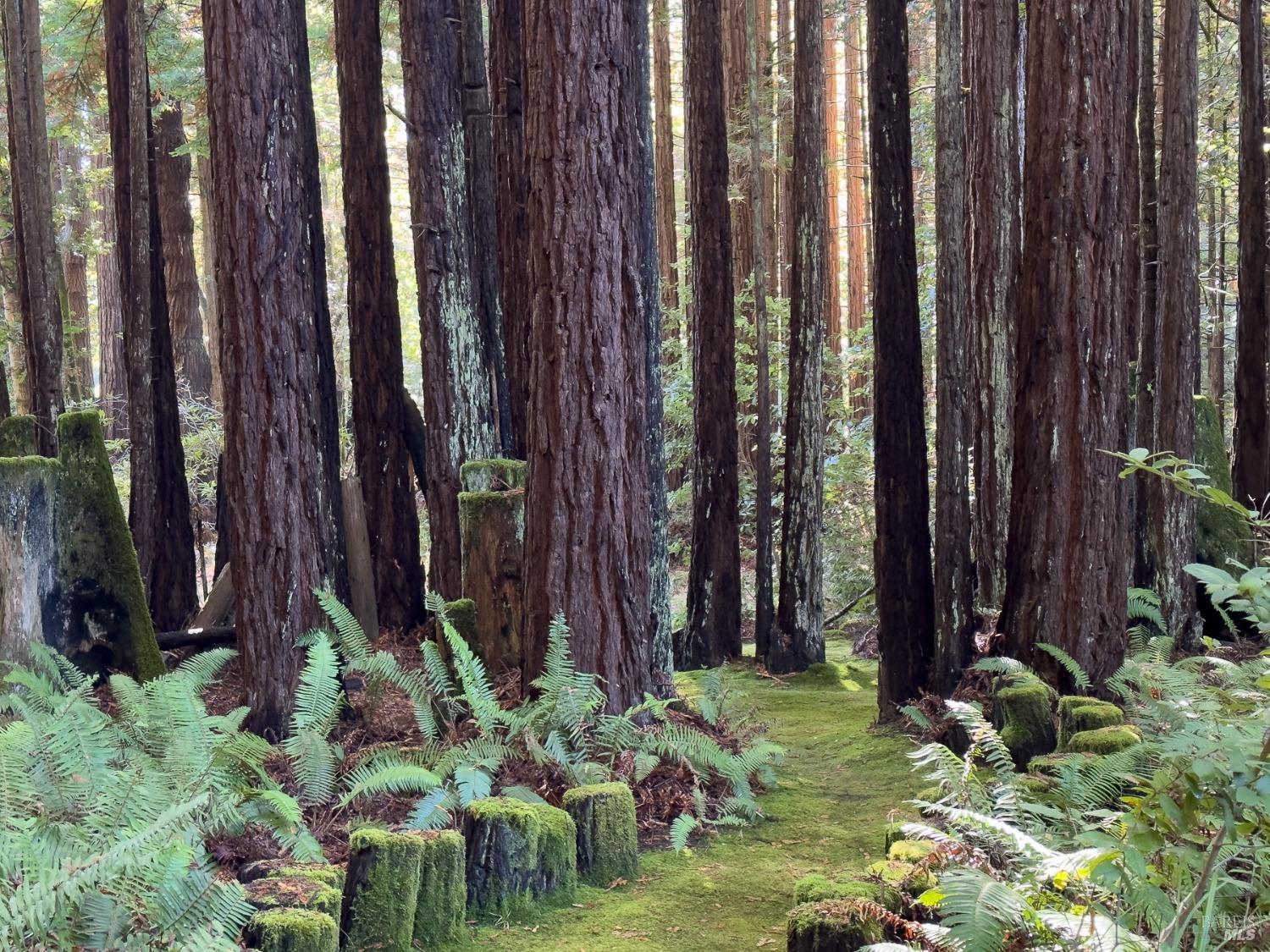 42200-42230 Deer Trail Trl