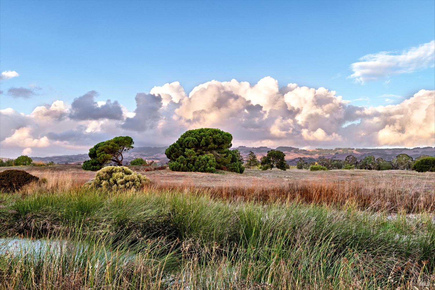 1996 Falcon Ridge Dr