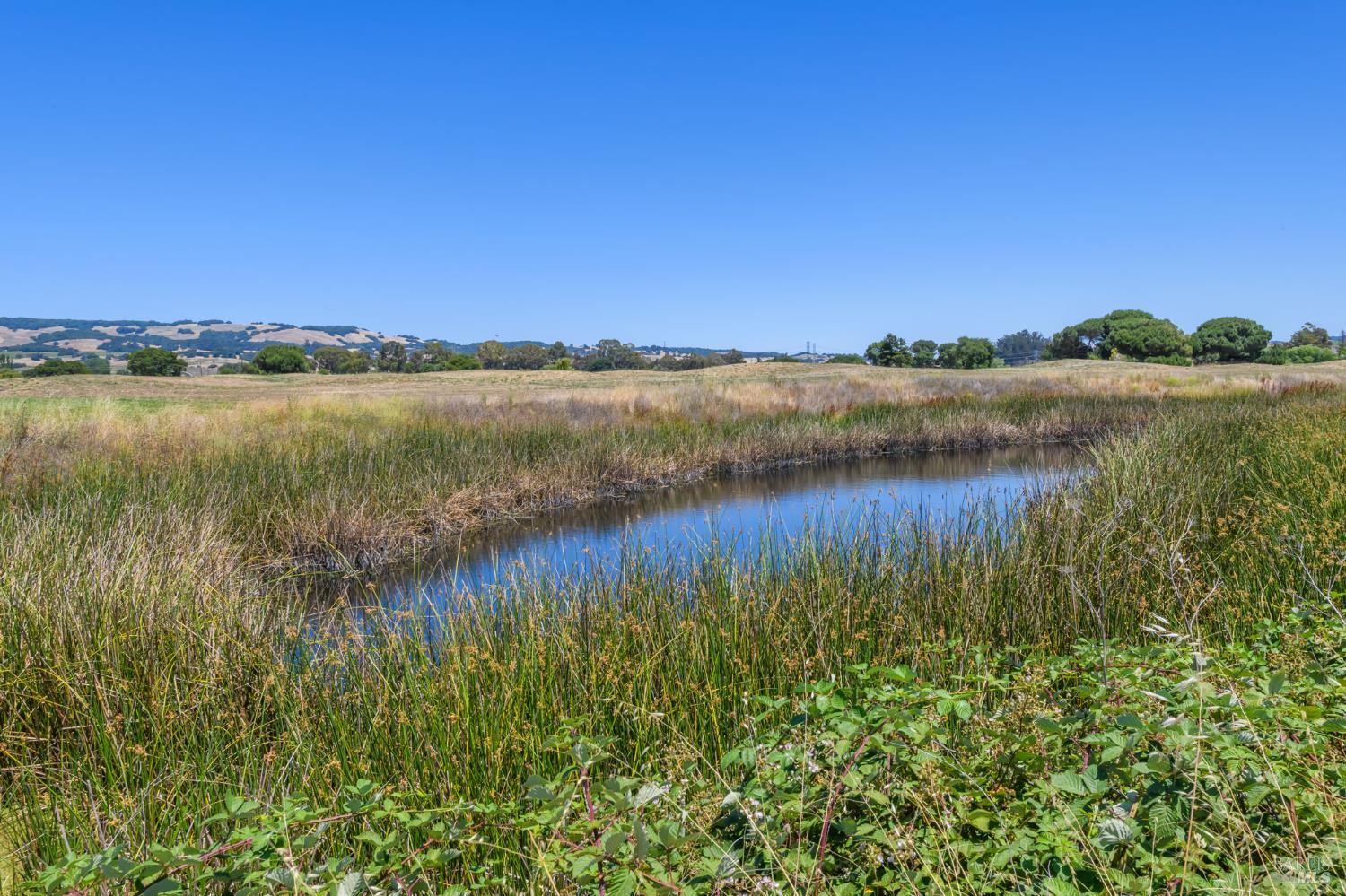 1996 Falcon Ridge Dr