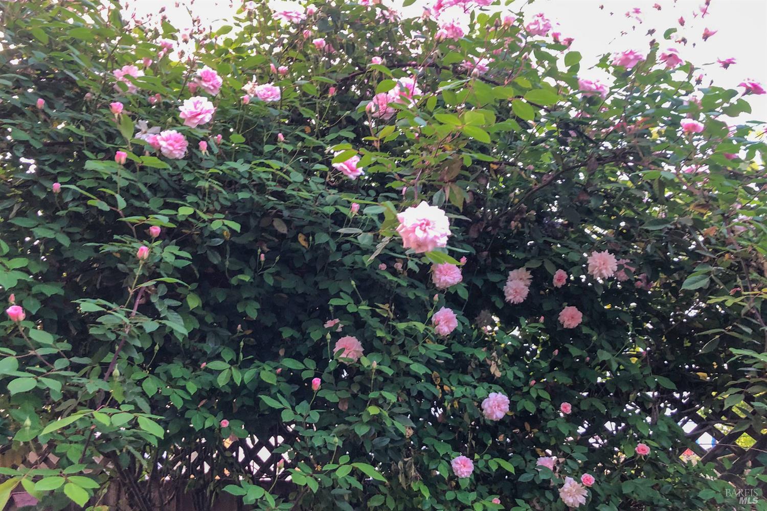 1610 Northstar Drive