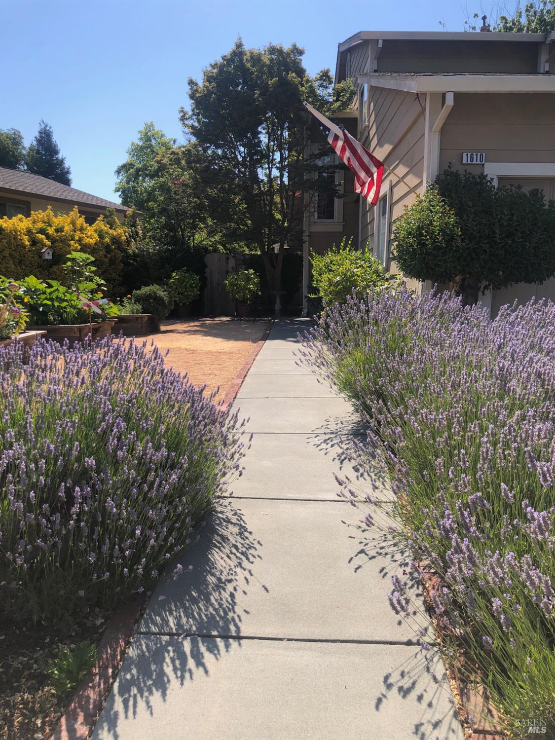 1610 Northstar Drive