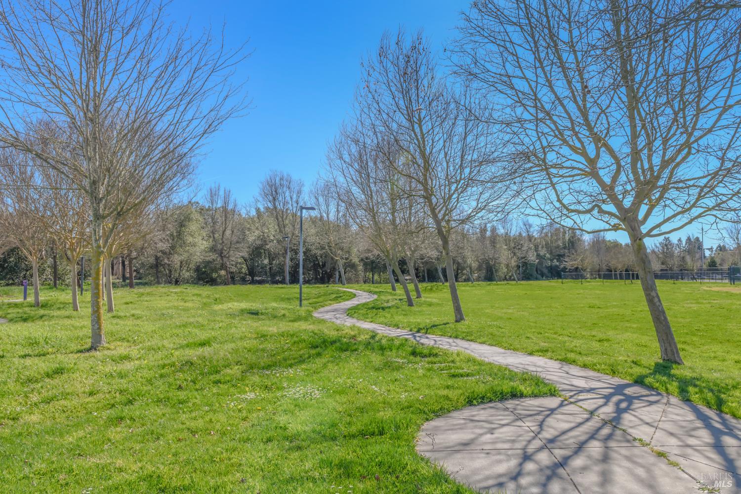 1702 Northstar Drive