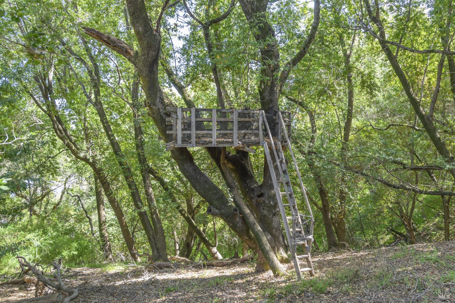 101 Garner Drive