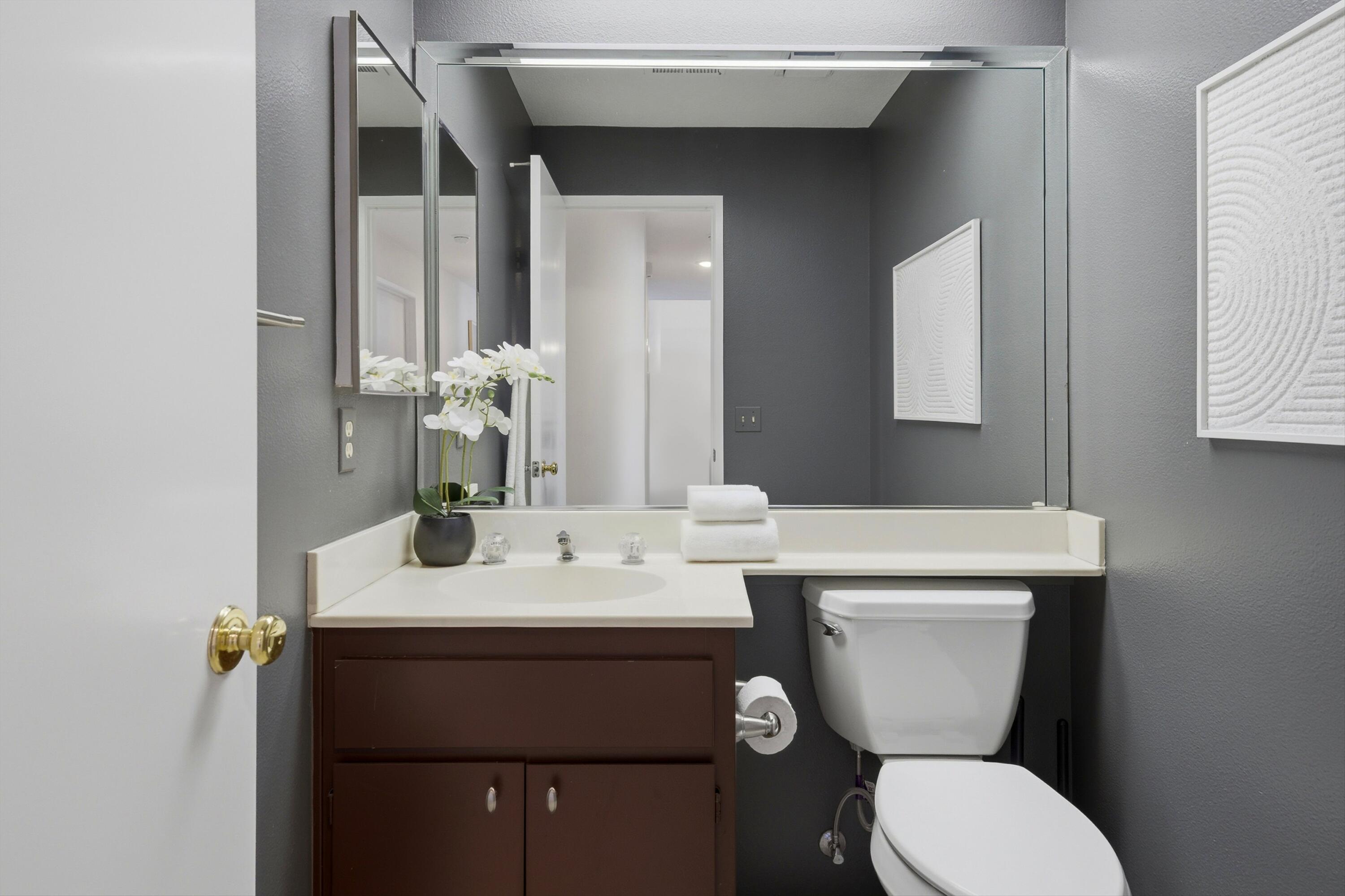 217 Desert Falls CIR