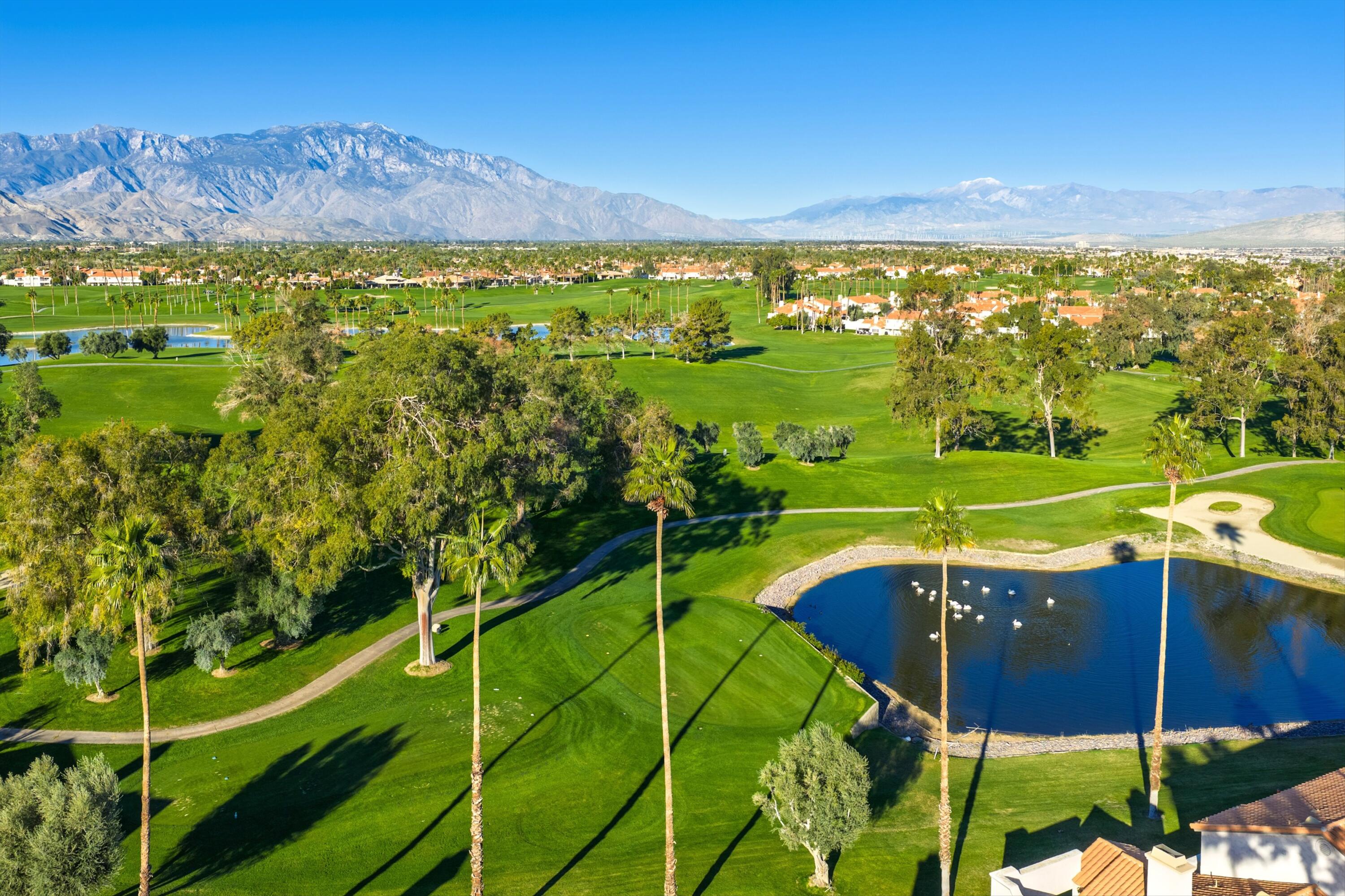 217 Desert Falls CIR